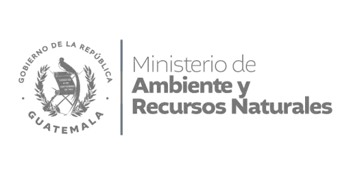 Ministerio de Ambiente y Recursos Naturales, Guatemala